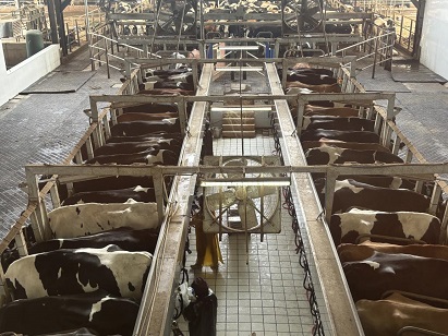 圖片2.jpg 圖片2.jpg